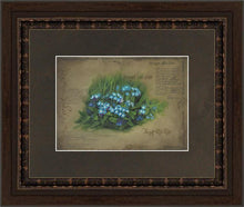 Load image into Gallery viewer, Forget Me Not