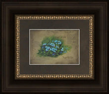 Load image into Gallery viewer, Forget Me Not