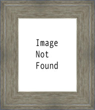 Load image into Gallery viewer, Lamb of God
