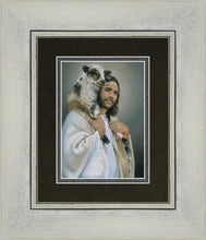 Load image into Gallery viewer, Lost Sheep