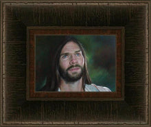 Load image into Gallery viewer, He was the Son of God