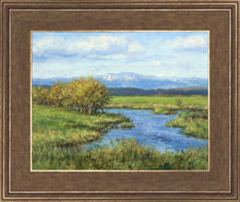 Load image into Gallery viewer, Spring Runoff on Camas Creek
