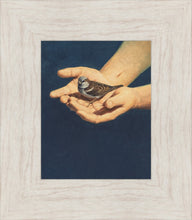 Load image into Gallery viewer, Always in His Care