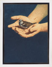 Load image into Gallery viewer, Always in His Care