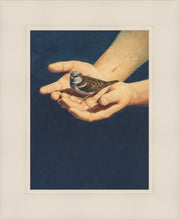 Load image into Gallery viewer, Always in His Care