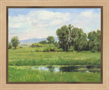 Load image into Gallery viewer, Poplar Springs