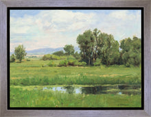 Load image into Gallery viewer, Poplar Springs