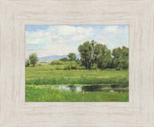 Load image into Gallery viewer, Poplar Springs