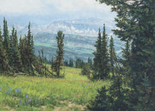 Load image into Gallery viewer, Windblown