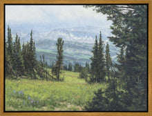Load image into Gallery viewer, Windblown