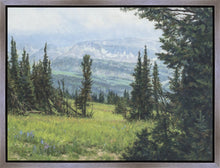 Load image into Gallery viewer, Windblown