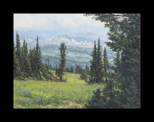 Load image into Gallery viewer, Windblown