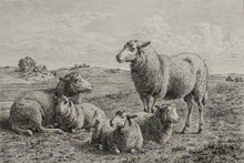 Load image into Gallery viewer, The Lamb of God