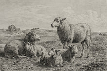 Load image into Gallery viewer, The Lamb of God