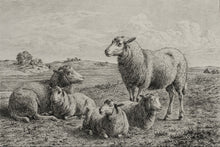 Load image into Gallery viewer, The Lamb of God