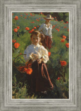 Load image into Gallery viewer, Poppies