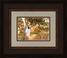 Load image into Gallery viewer, Our Tree of Life