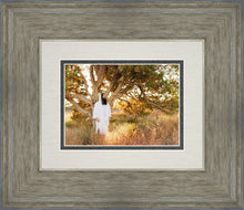 Load image into Gallery viewer, Our Tree of Life