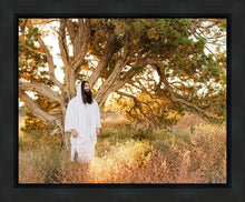Load image into Gallery viewer, Our Tree of Life