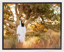 Load image into Gallery viewer, Our Tree of Life