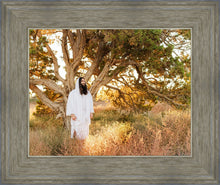 Load image into Gallery viewer, Our Tree of Life