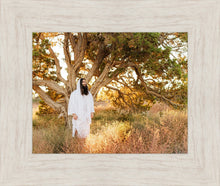 Load image into Gallery viewer, Our Tree of Life
