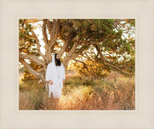 Load image into Gallery viewer, Our Tree of Life