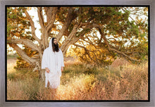 Load image into Gallery viewer, Our Tree of Life