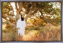 Load image into Gallery viewer, Our Tree of Life