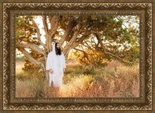Load image into Gallery viewer, Our Tree of Life