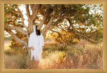 Load image into Gallery viewer, Our Tree of Life
