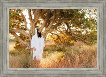 Load image into Gallery viewer, Our Tree of Life