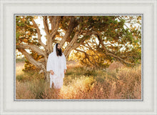 Load image into Gallery viewer, Our Tree of Life