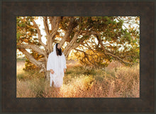 Load image into Gallery viewer, Our Tree of Life