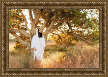 Load image into Gallery viewer, Our Tree of Life