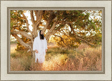 Load image into Gallery viewer, Our Tree of Life