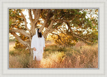 Load image into Gallery viewer, Our Tree of Life