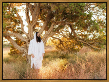 Load image into Gallery viewer, Our Tree of Life
