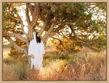 Load image into Gallery viewer, Our Tree of Life