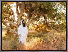 Load image into Gallery viewer, Our Tree of Life