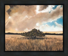 Load image into Gallery viewer, Having Faith During the Storm