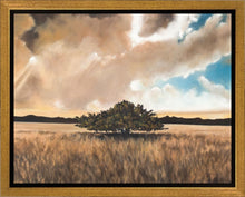 Load image into Gallery viewer, Having Faith During the Storm