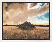 Load image into Gallery viewer, Having Faith During the Storm