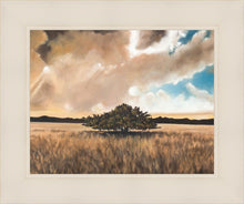 Load image into Gallery viewer, Having Faith During the Storm