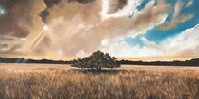 Load image into Gallery viewer, Having Faith During the Storm