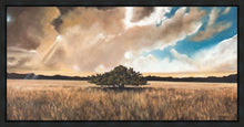 Load image into Gallery viewer, Having Faith During the Storm