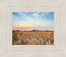 Load image into Gallery viewer, Golden Hour