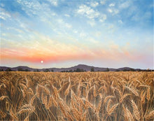 Load image into Gallery viewer, Golden Hour