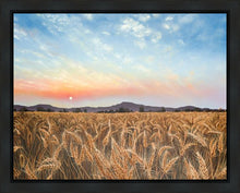 Load image into Gallery viewer, Golden Hour