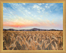Load image into Gallery viewer, Golden Hour